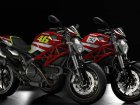 Ducati Monster 796 Hayden Moto GP Replica